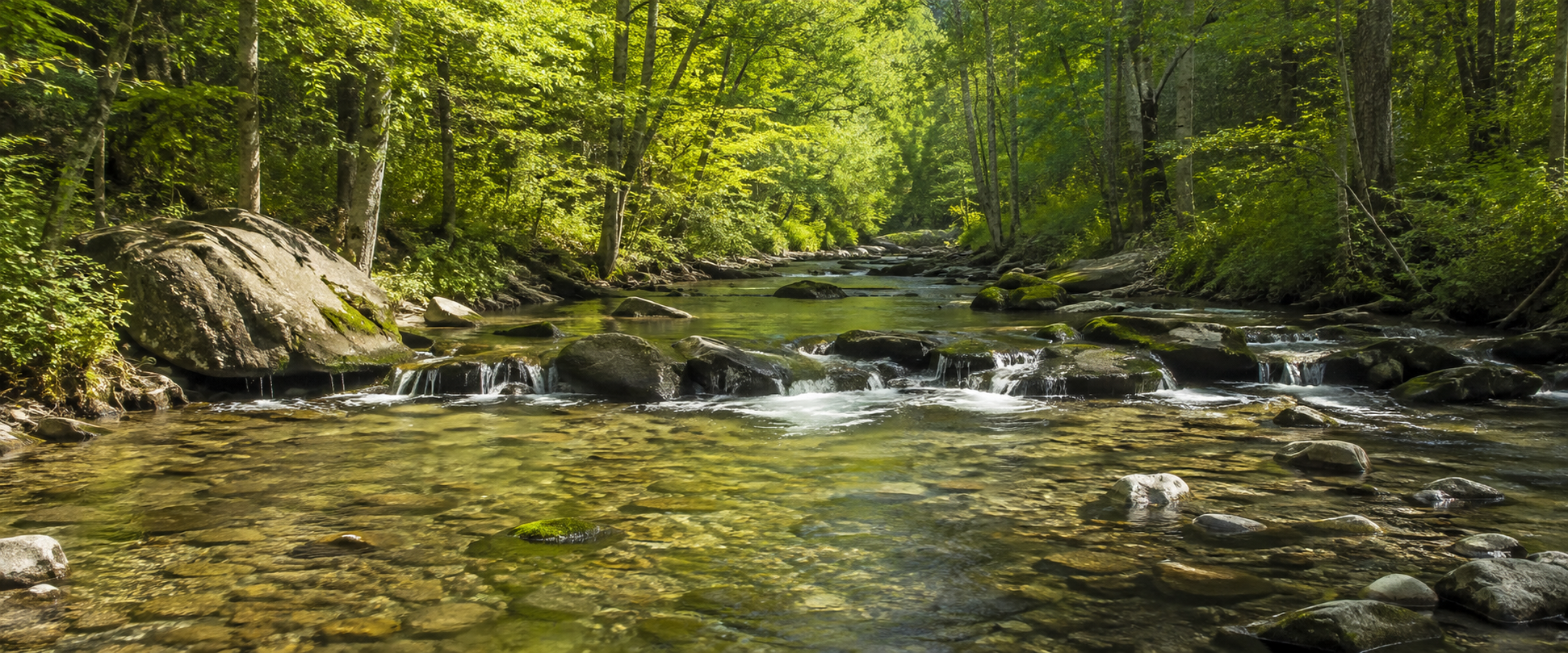 Creeks in and Around Angola on the Lake